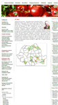 Mobile Screenshot of icdp.ro