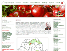Tablet Screenshot of icdp.ro